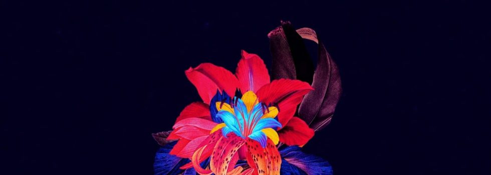 Maribou State – Nervous Tics (Featuring Holly Walker) (DJ Tennis Remix)