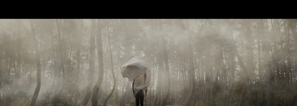 Sebastian Plano – Purples