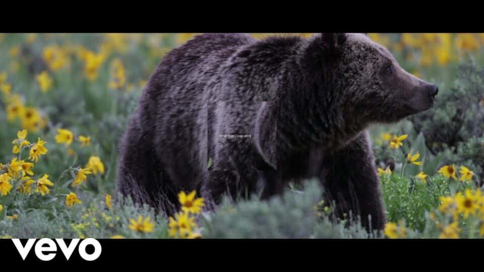 Mumford & Sons – Beloved