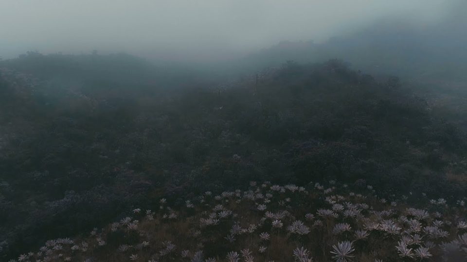 Leifur James – Night and Day