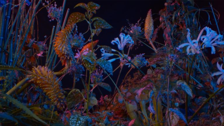 Floating Points – Last Bloom music video