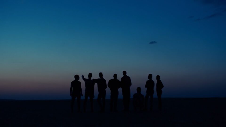 Tamino – Indigo Night