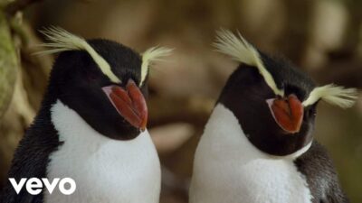 James Blake – I’ll Come Too