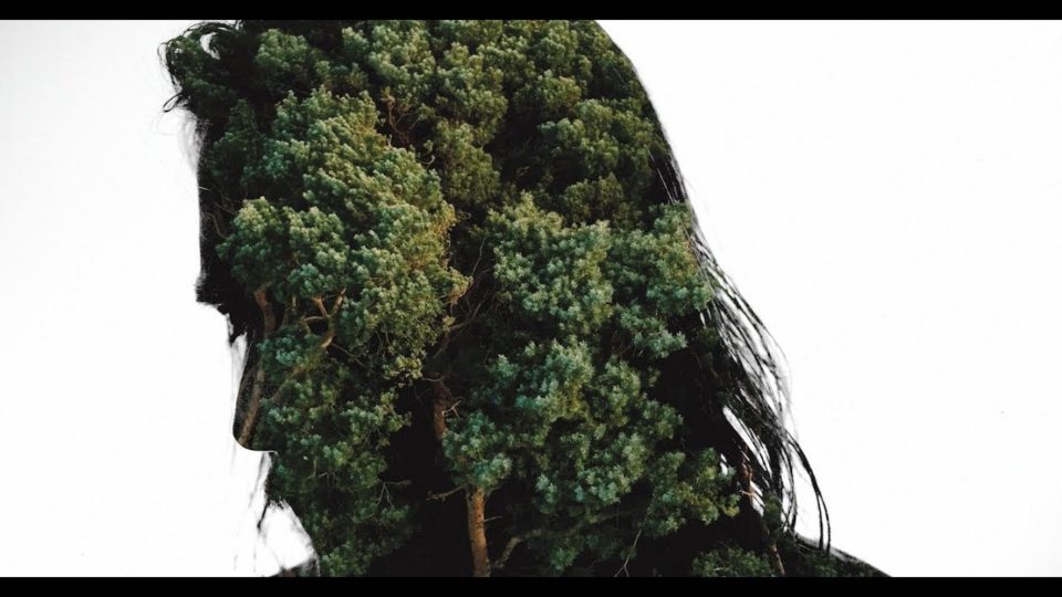 Hayden Calnin – Unfortunate Love (Featuring Harrison Storm)