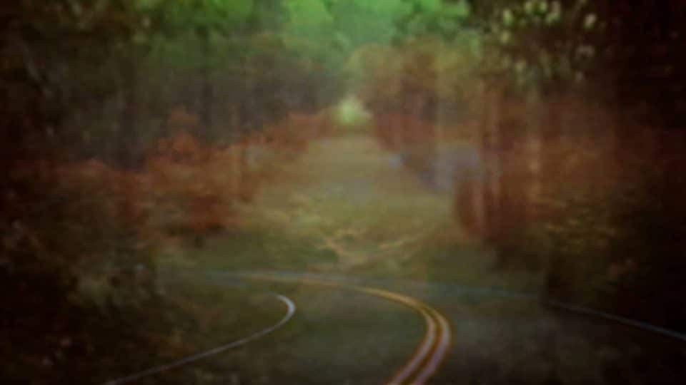 Bibio – Dye The Water Green