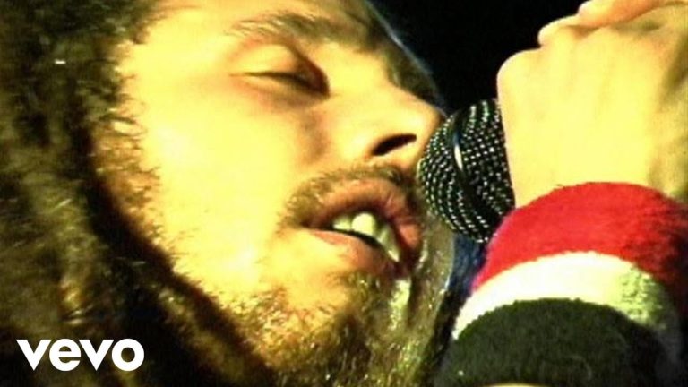 Rage Against The Machine – Born Of A Broken Man music video