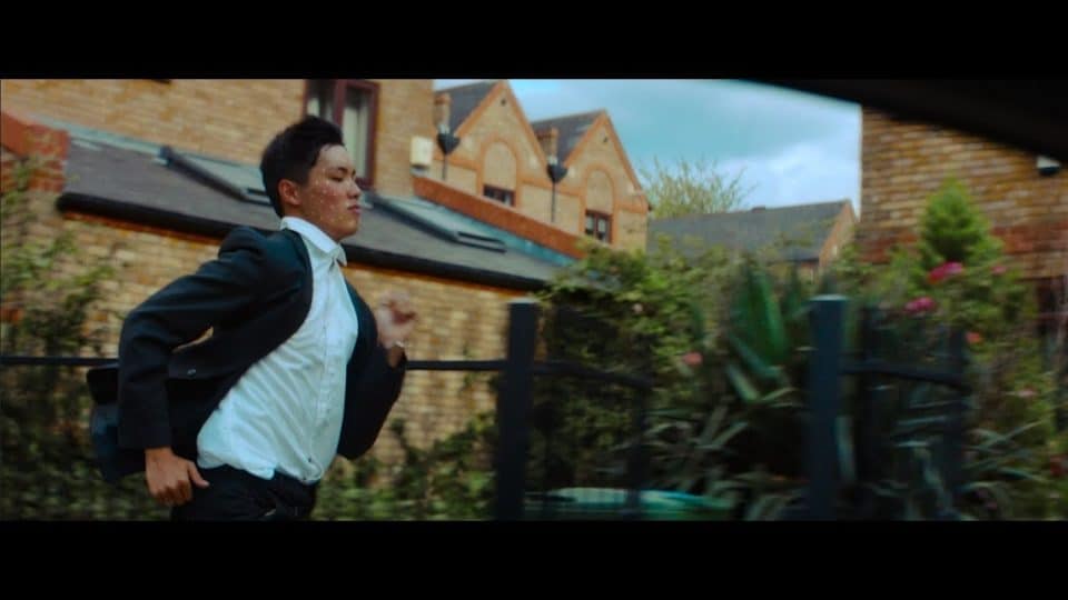 Palindrome – Birds