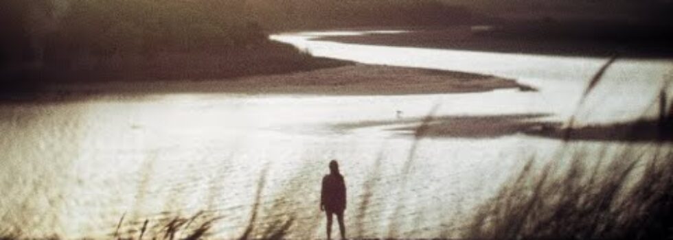 Hollow Coves – Purple