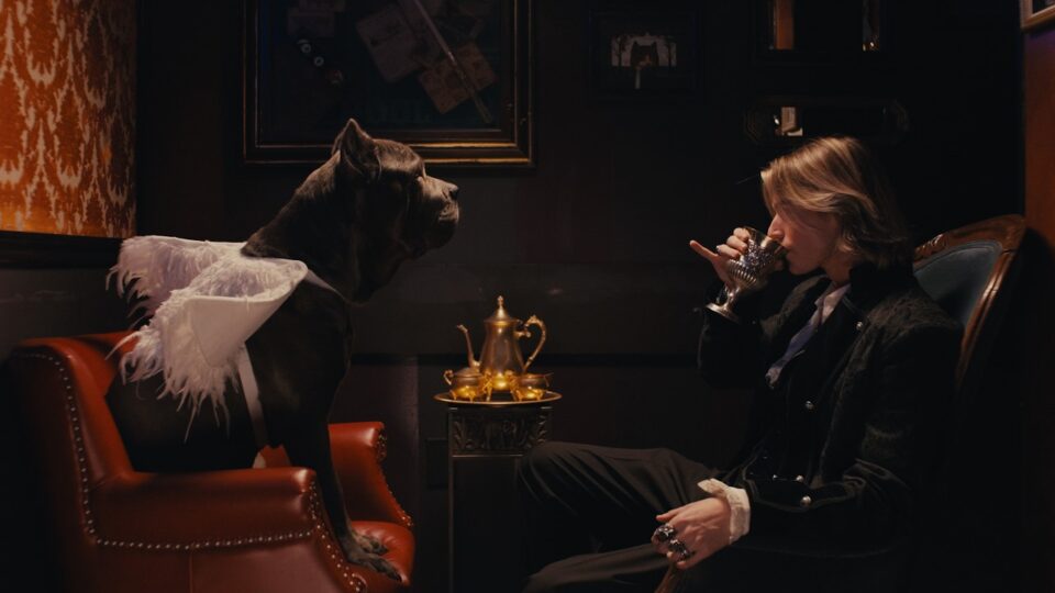 VOILÀ – Drinking with Cupid music video