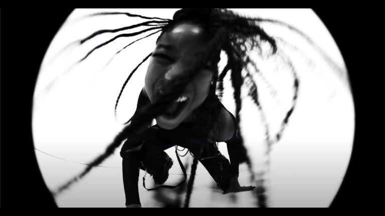 WILLOW – t r a n s p a r e n t s o u l (feat. Travis Barker) music video