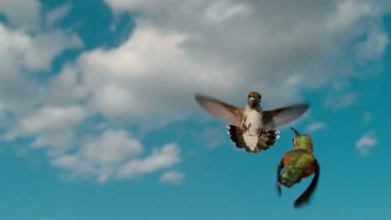 Explosions in the Sky – Climbing Bear music video