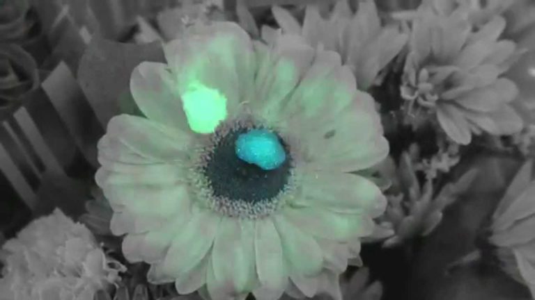 Turnstile – Drop music video