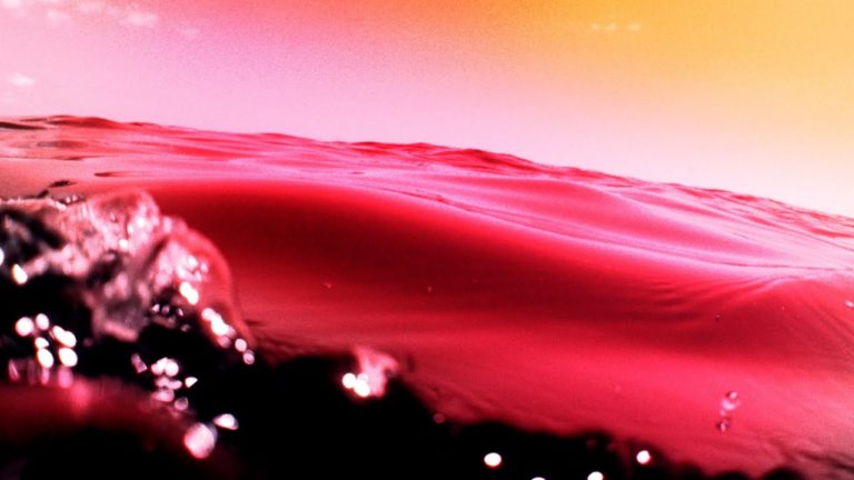 Bonobo – From You (feat. Joji) music video