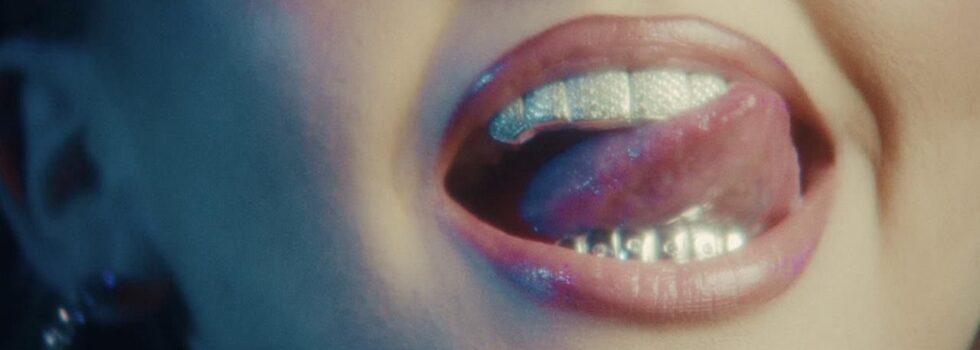 Chinchilla – MF Diamond