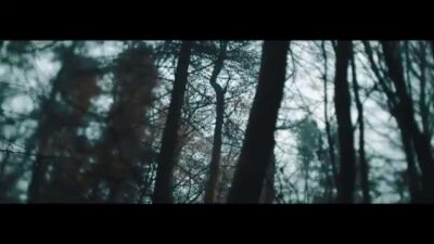 Palm Reader – I Watch The Fire Chase My Tongue