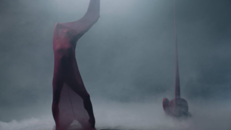 Animals as Leaders – Micro-Aggressions