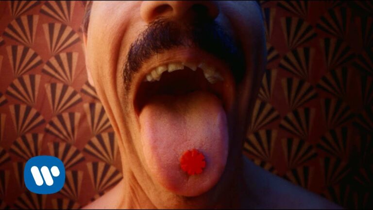 Red Hot Chili Peppers – Tippa My Tongue music video