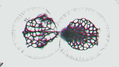 Tom Vek – Survive (Official Music Video)