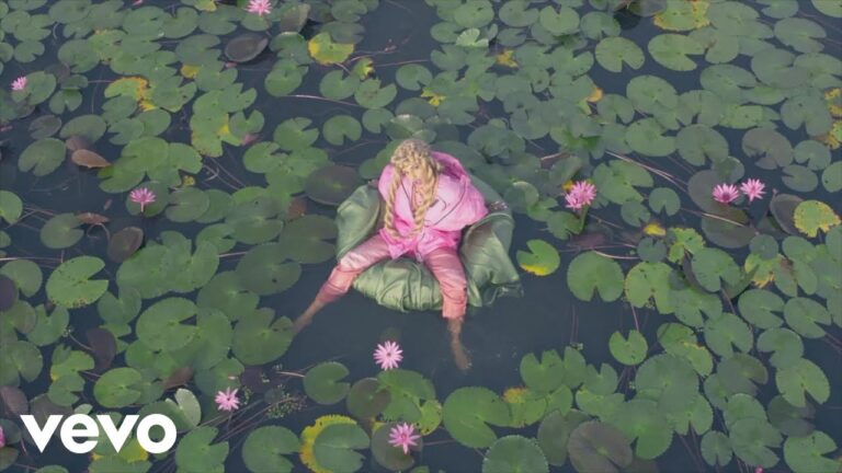 M.I.A. – The One music video