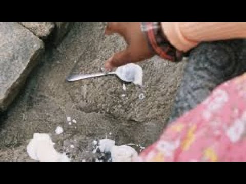 Hemlocke Springs – Girlfriend