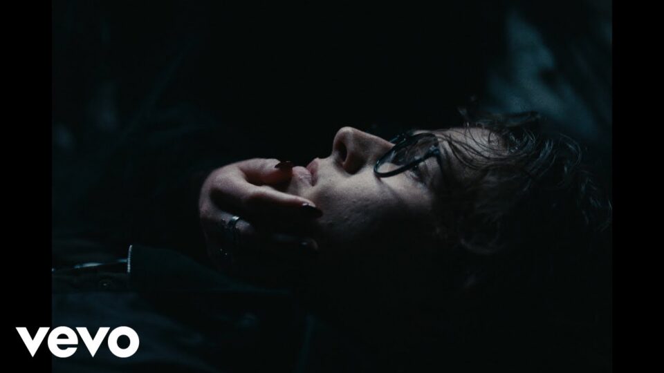 David Kushner – Skin and Bones