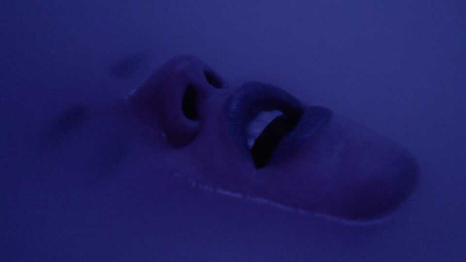 Diana Goldberg – Blackblueyellow