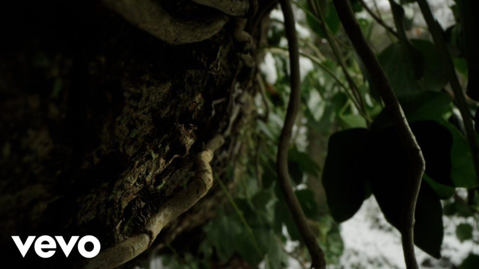 Ludovico Einaudi – The Tree