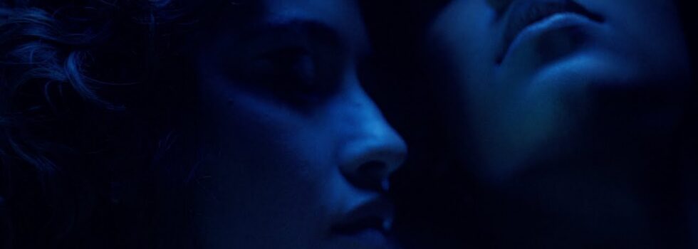 Two Colors & Barbz – Ums