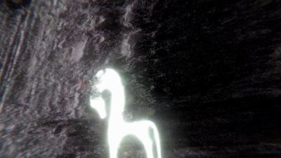 Kelly Moran – Soft Focus