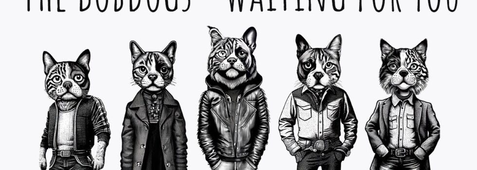 The Bobdogs – Waiting for You