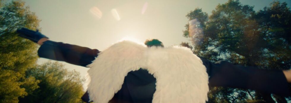 Destroy Boys – Plucked