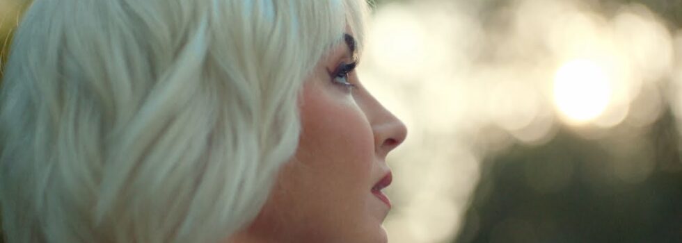 Maggie Rose – Fake Flowers