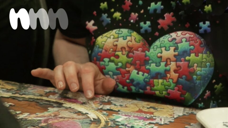 nit – Puzzle Effect