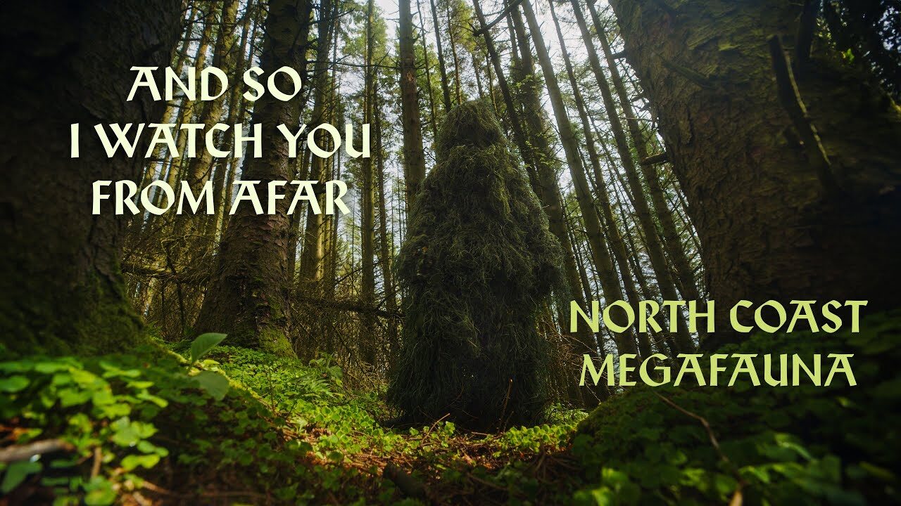 And So I Watch You From Afar – North Coast Megafauna