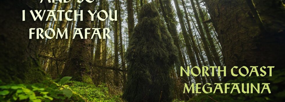 And So I Watch You From Afar – North Coast Megafauna