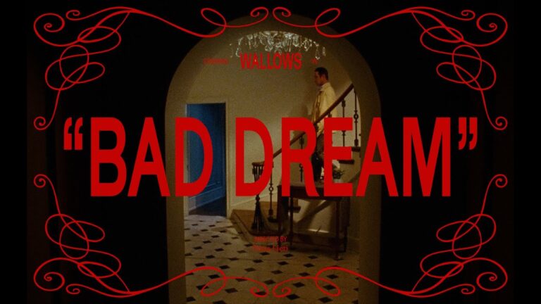 Wallows – Bad Dream music video
