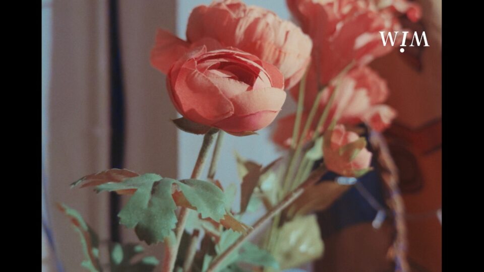 WIM – One Day I’ll Fly (Again)