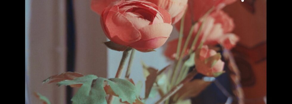 WIM – One Day I’ll Fly (Again)