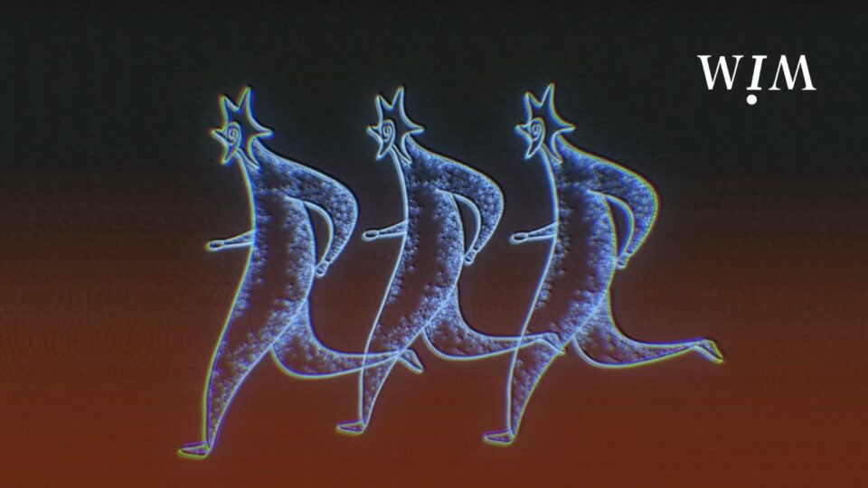 WIM – Sweetest Potion