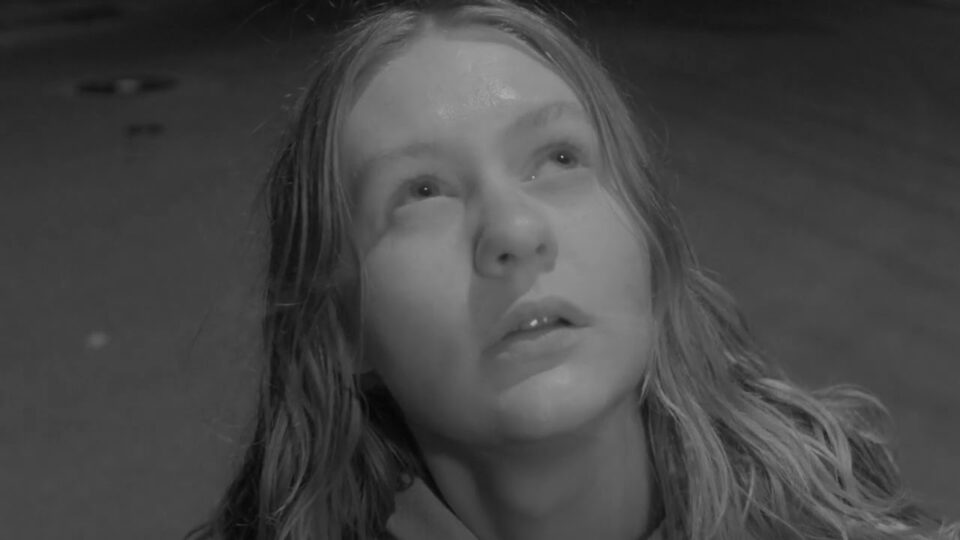 Chat Pile and Hayden Pedigo – Radioactive Dreams