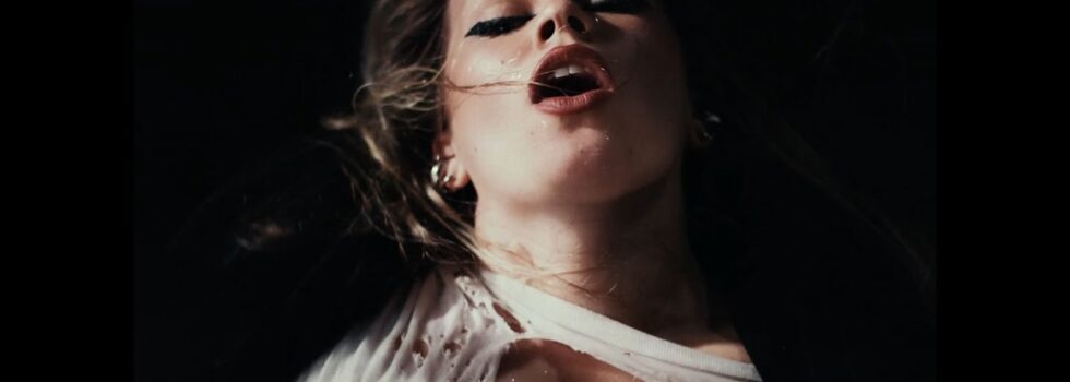 CHINCHILLA – Avoidance