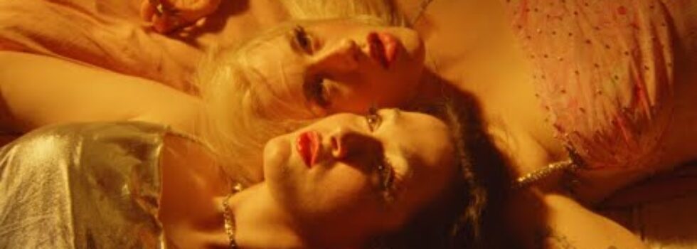 chokecherry – Goldmine