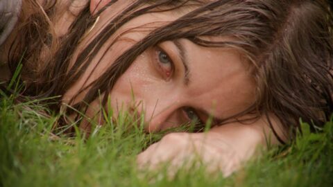 Cute Door – Gold Star