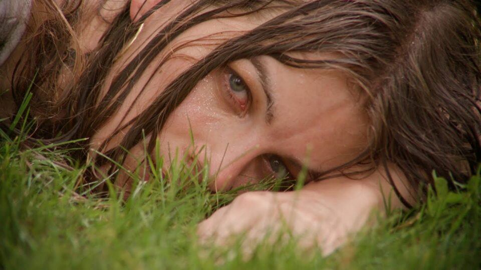 Cute Door – Gold Star