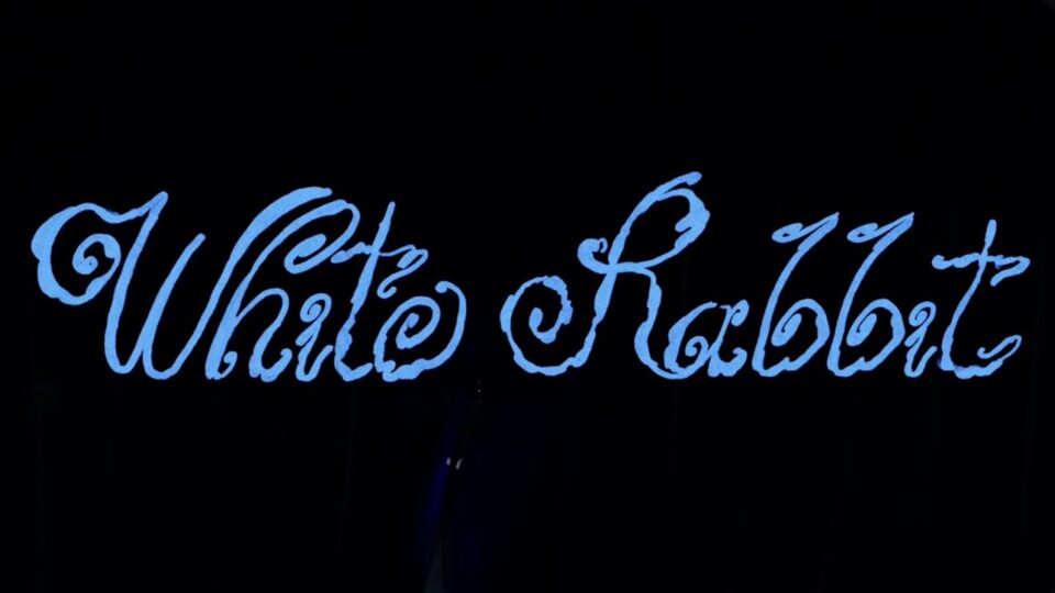 DJ Suzy – White Rabbit