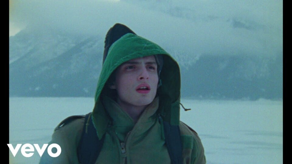 Finn Wolfhard – Objection!