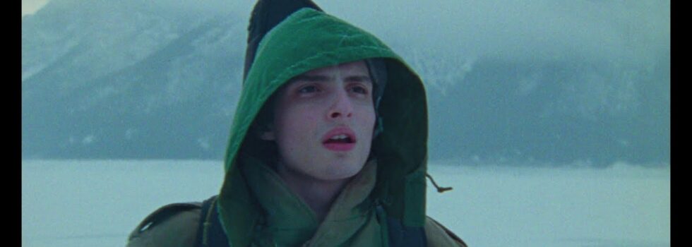 Finn Wolfhard – Objection!