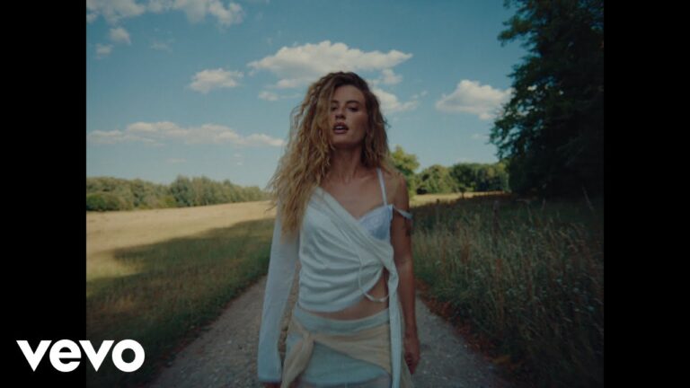 FLETCHER – Hi, Everyone Leave Please music video