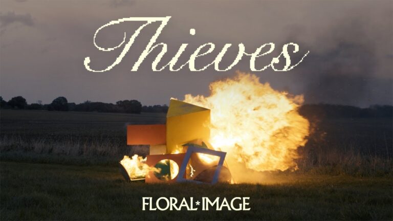 Floral Image – Thieves music video