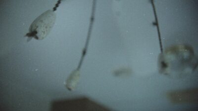 GHOSTWOMAN – that Jesus